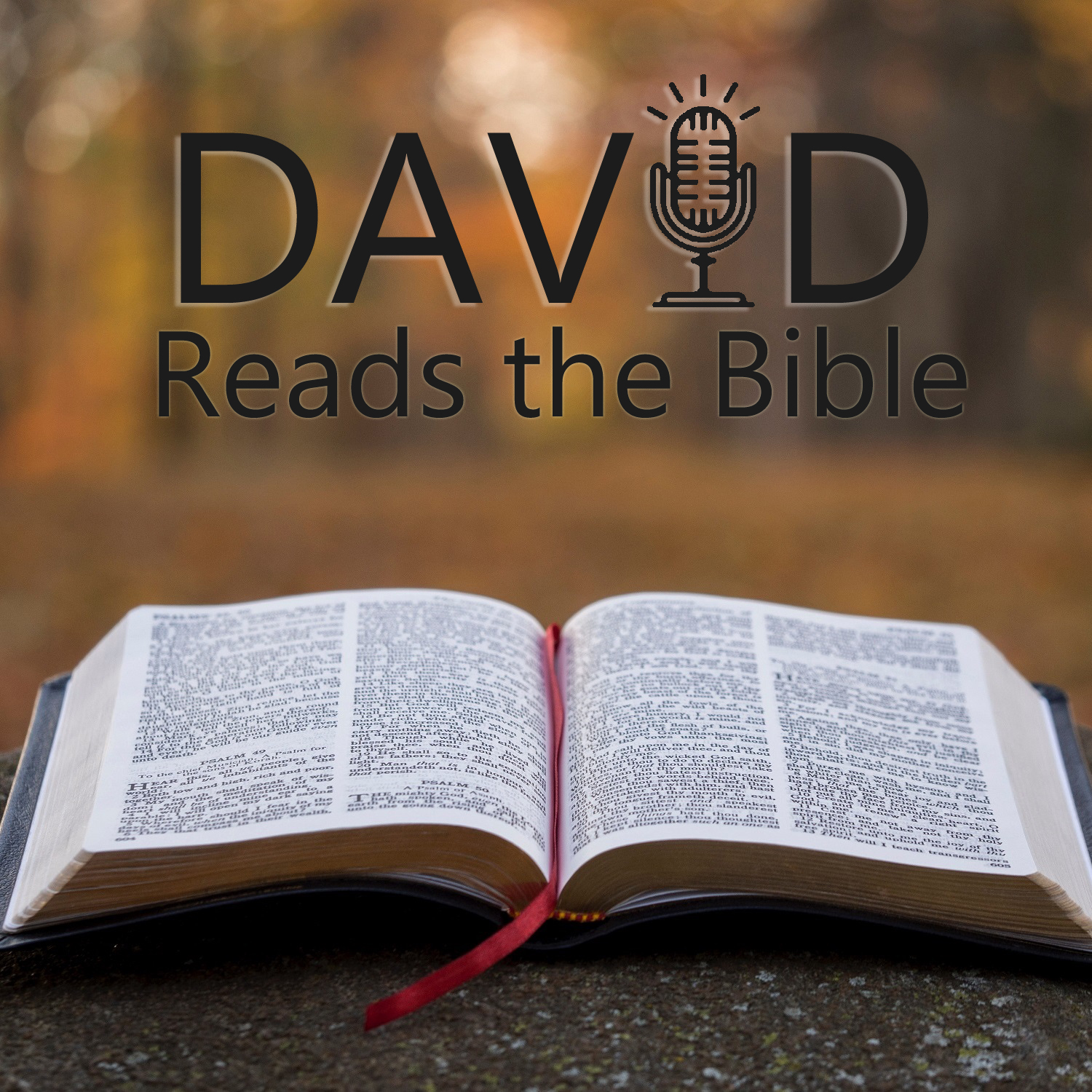 David Reads the Bible